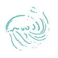 Jelly Jellyfish Sticker