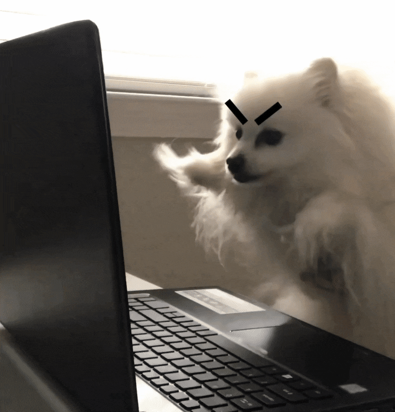 Video gif. A small white dog with superimposed angry eyebrows frantically "types" on a laptop.