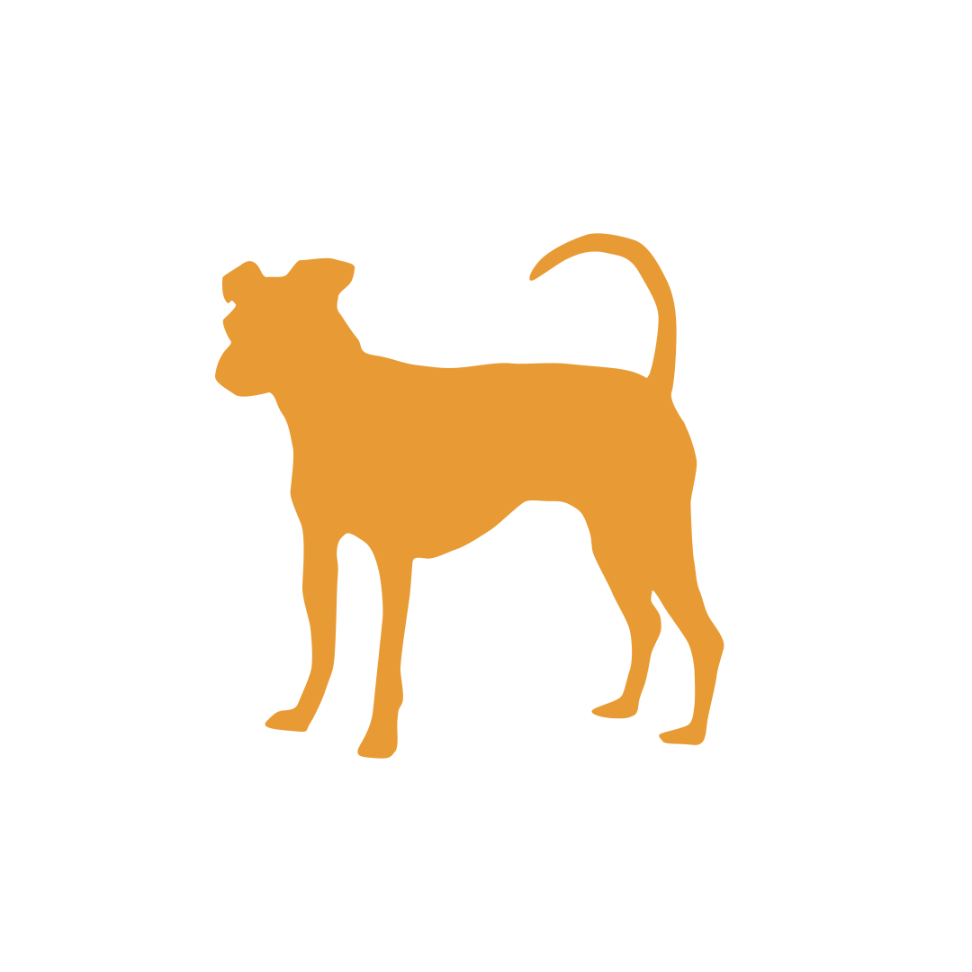browndogcoalition brown dog brown dog coalition Sticker