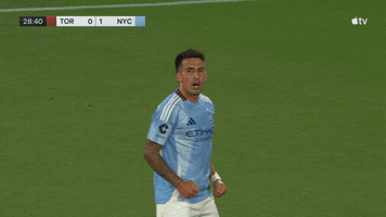 Lets Go Hug GIF by Major League Soccer