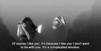 i love you ily GIF