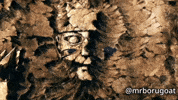 Tbv Kawaki GIF