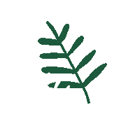 cegepduvieuxmtl leaf eco feuille arbre Sticker