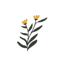 Encouraging Over The Rainbow Sticker