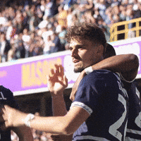 Celebration Encourage GIF by MillwallFC