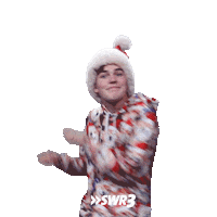 Happy Merry Christmas Sticker by SWR3