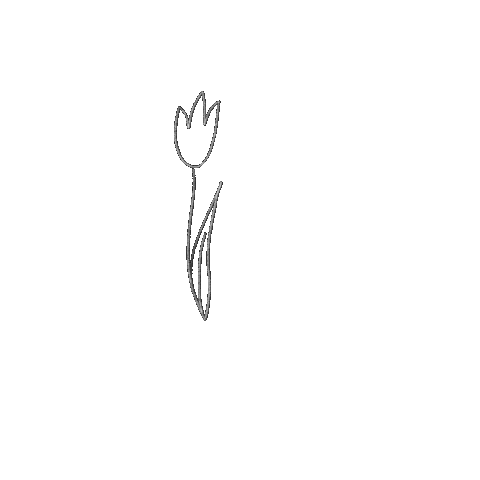 norsolya_design giphyupload flower tulip virag Sticker