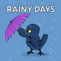 Bitcoin Rain GIF by Ordinary Frends