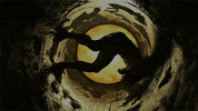 contemporary art dance GIF by Art21