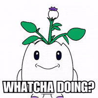 How Are You Hello GIF by Magic Eden