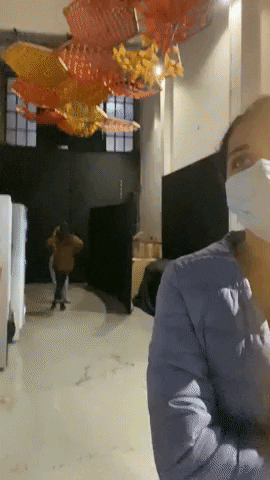 angelchof60425ad701245fa91a3125852bf0aa1 giphygifmaker GIF