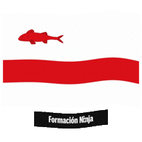 Flag Barcelona Sticker by Formación Ninja