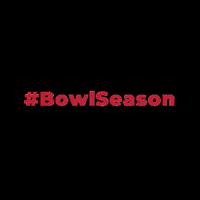 bowlseason sports football ncaa touchdown GIF