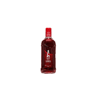 Alto Del Carmen Cheers Sticker by CapelPisco