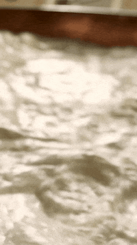 Cheese Parmesan GIF by Parmigiano Reggiano