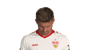 Look Up Vfb Stuttgart Sticker by Bundesliga