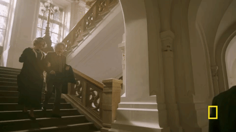 GIF by National Geographic Channel