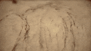oh my god omg GIF by The Pretty Reckless