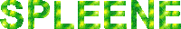spleene kiteboarding spleene spleene kiteboarding enter the zone Sticker