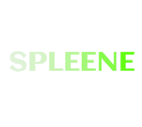 spleene kiteboarding spleene spleene kiteboarding enter the zone Sticker