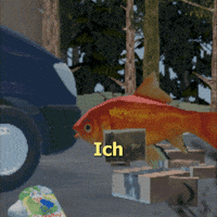 Goldfisch GIF