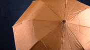 womens golf GIF by LPGA