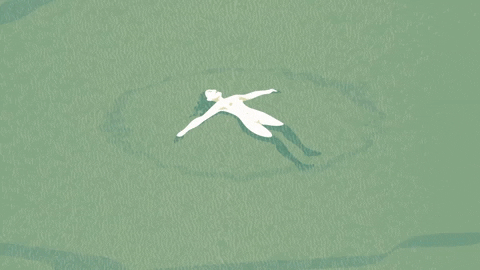 guideki giphygifmaker GIF