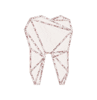 makemesmile maison dental Sticker