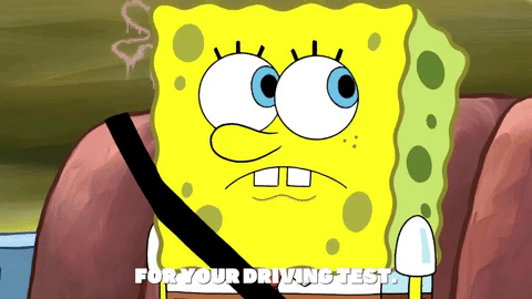 season 9 little yellow book GIF by SpongeBob SquarePants