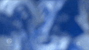 Football Soccer GIF by FC Schalke 04