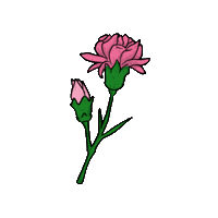 Flower 꽃 Sticker