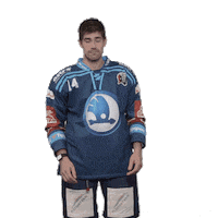 Hockey Applause Sticker by HC Škoda Plzeň