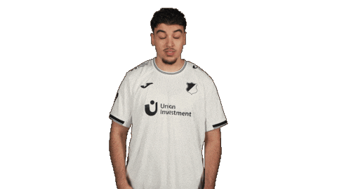 Tsg Hoffenheim Football Sticker by Bundesliga