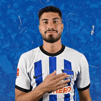 Bundesliga Ball GIF by Hertha BSC