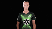 vflwolfsburg sports sport soccer gif GIF