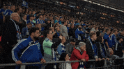 Football Soccer GIF by FC Schalke 04