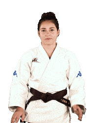 Judo Idk Sticker by Ruhr Games