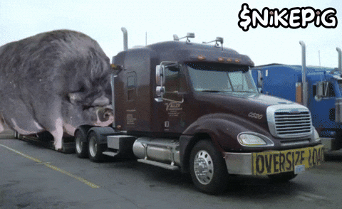 Trailer Pig GIF by Nikepig