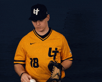 Toledo Baseball GIF by Toledo Rockets
