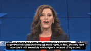 Team Vote GIF by Gretchen Whitmer