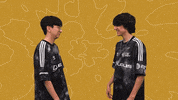 Esports River GIF by 100 Thieves