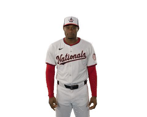 Nationals Baseball Mlb Sticker by Washington Nationals