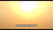 Cat Love GIF by saregama