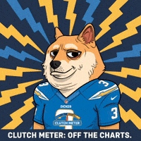 Los Angeles Chargers Football GIF by Doge Pound
