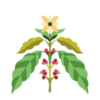 Fun Coffee Sticker by Juan Valdez