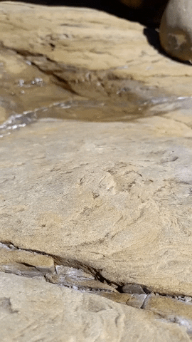 Simongip giphyupload GIF