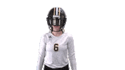 Lets Go Football Sticker by UNCP Braves Athletics