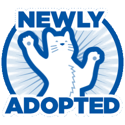 Cat Dog Sticker by Hill's Pet Nutrition