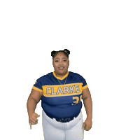 Clarke Softball Sticker by Clarke University