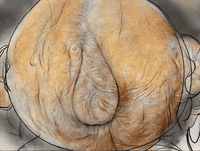 GIF by Alex Boya